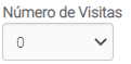 10. Número de Visitas