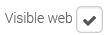 4. Visible Web