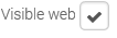 4. Visible Web