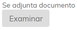 1. Examinar